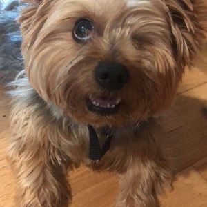 Meet your Posher, Lia